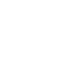 Borges Madeiras